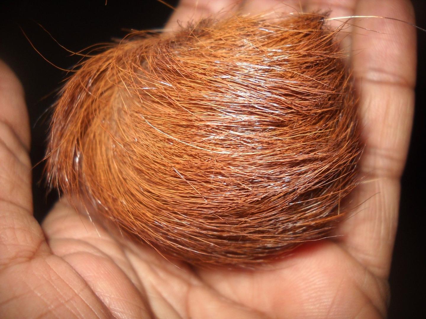 Original Kasturi – Sabse Powerful Wealth & Attraction Energy