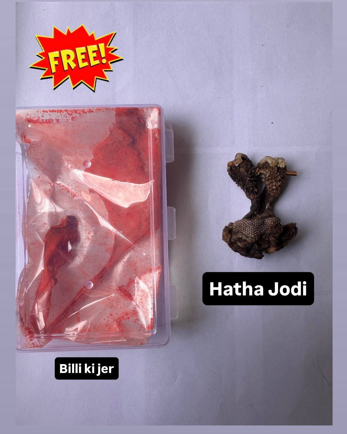 Get FREE Billi Ki Jer with Every Hatha Jodi – Limited Time Offer!